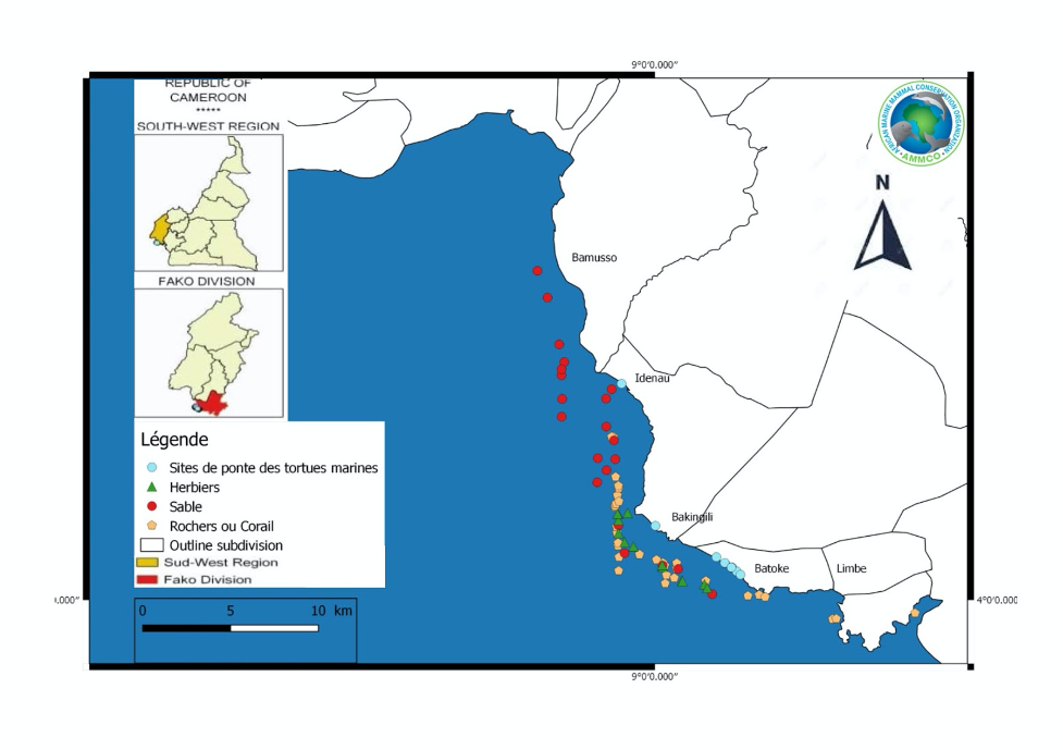 Characterization of the benthic zone: towards the protection of zones of biological interest in the marine and coastal ecosystem of Cameroon